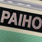 Webbing with TPU